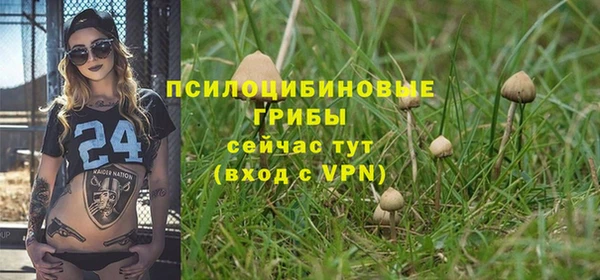 гидропоника Михайлов