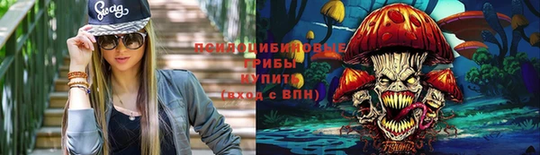ешки Артём